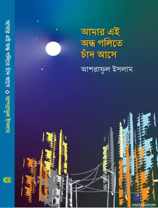 আমার এই অন্ধ গলিতে চাঁদ আসে